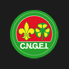Sito C.N.G.E.I. Nazionale CNGEI Nazionale